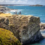 This Small Colorado Mountain Town Is Home to America’s Most Stunning Flower Fields