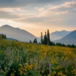 Powered Up: How an E-bike Transformed My Cycling Trip Through Portugal