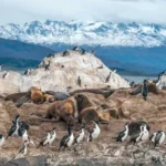 Powered Up: How an E-bike Transformed My Cycling Trip Through Portugal