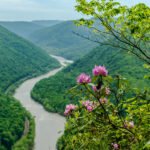 13 of California’s Best Small Towns, According to Locals and Travel Experts