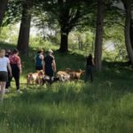 Seasonal Celebrations in Tifton_ From …