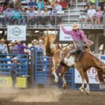 Campbell County (Gillette), WY